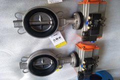 氣動(dòng)蝶閥的結構形式和特點(diǎn)？